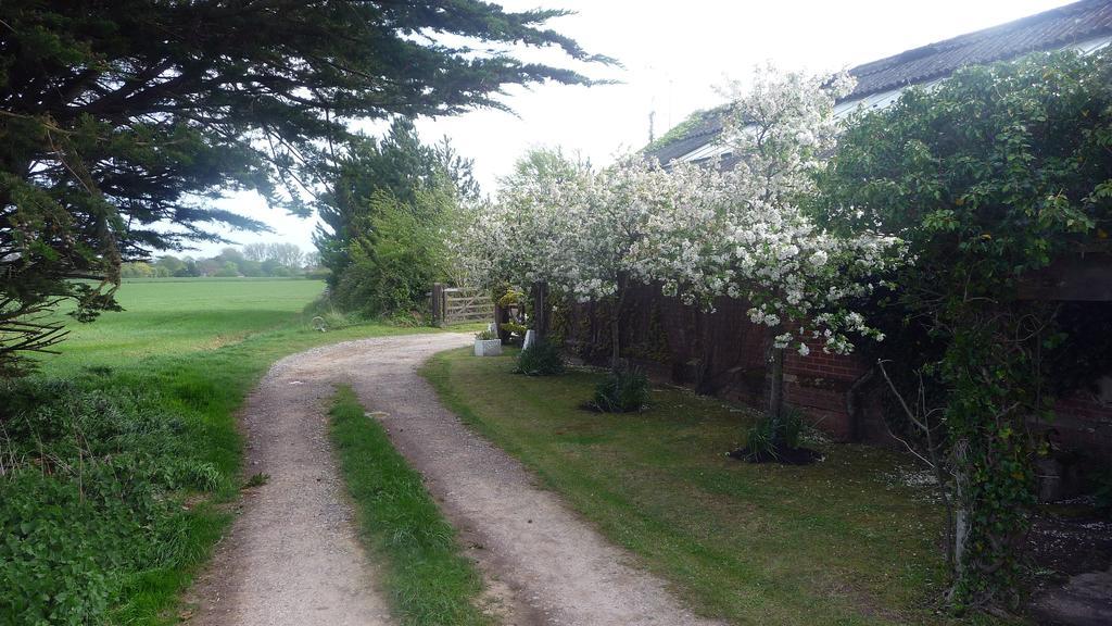 Lockgate Dairy Bed and Breakfast Chichester Buitenkant foto