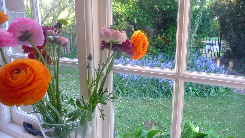 Lockgate Dairy Bed and Breakfast Chichester Buitenkant foto