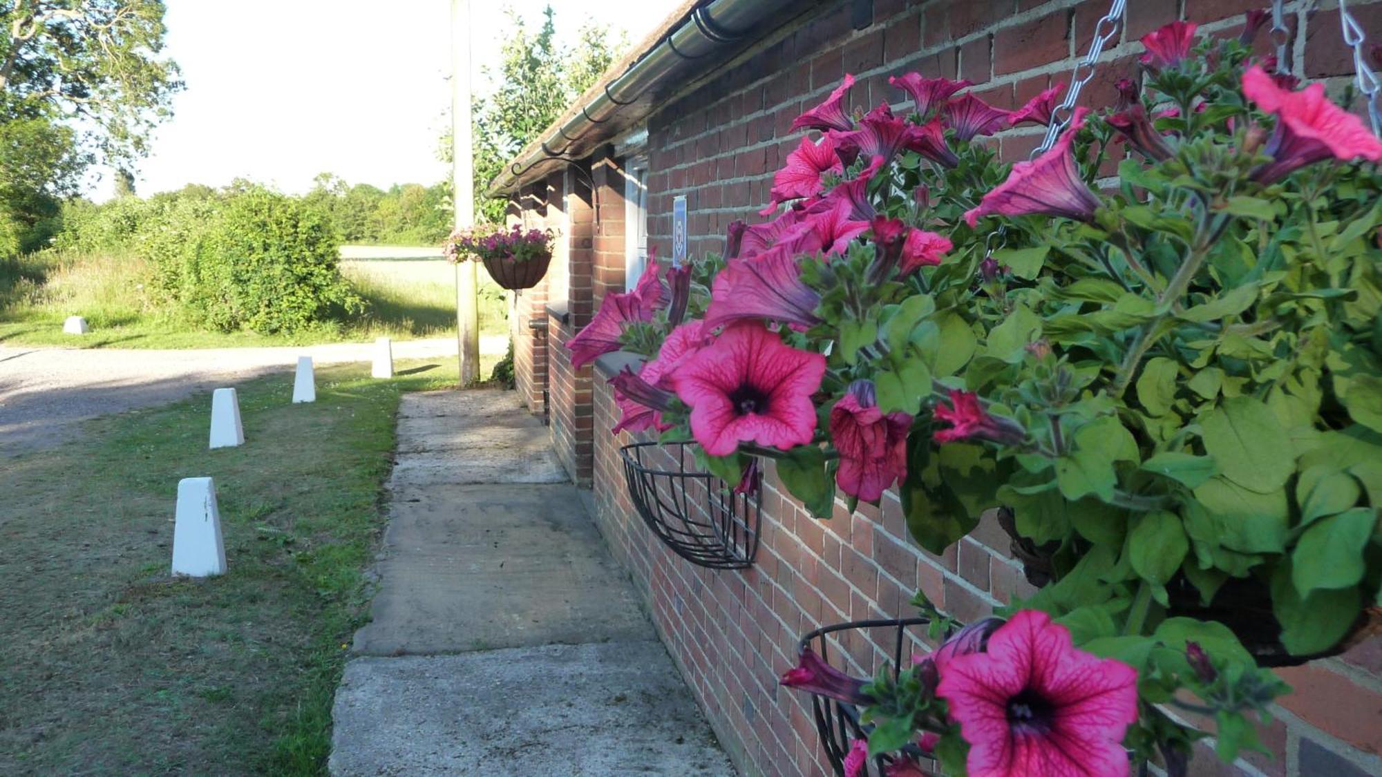 Lockgate Dairy Bed and Breakfast Chichester Buitenkant foto